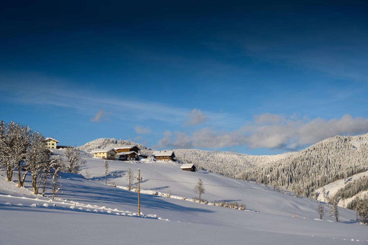 Parchenbauernhof Horner 2*